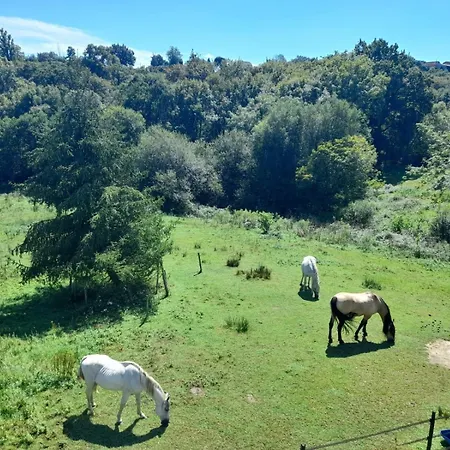 Borde Béarnaise En Pleine Nature * Vielleségure