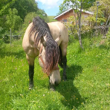 Сasa de vacaciones Borde Béarnaise En Pleine Nature